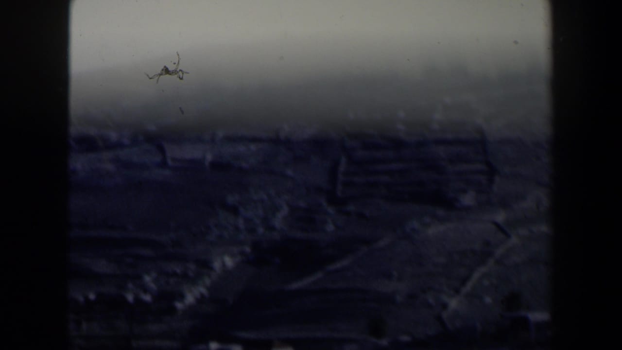 Dark, soft view of terraced hilly terrain seen through heavy film-frame shadows.