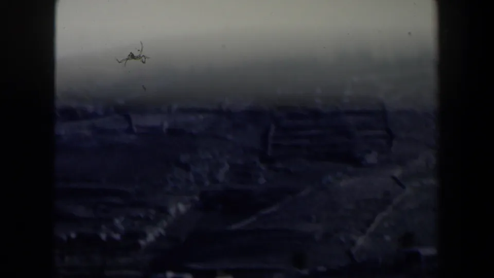 1960 8mm home-movie frame from Israel showing a dim panoramic view of terraced hills and rough ground with strong gate shadowing.