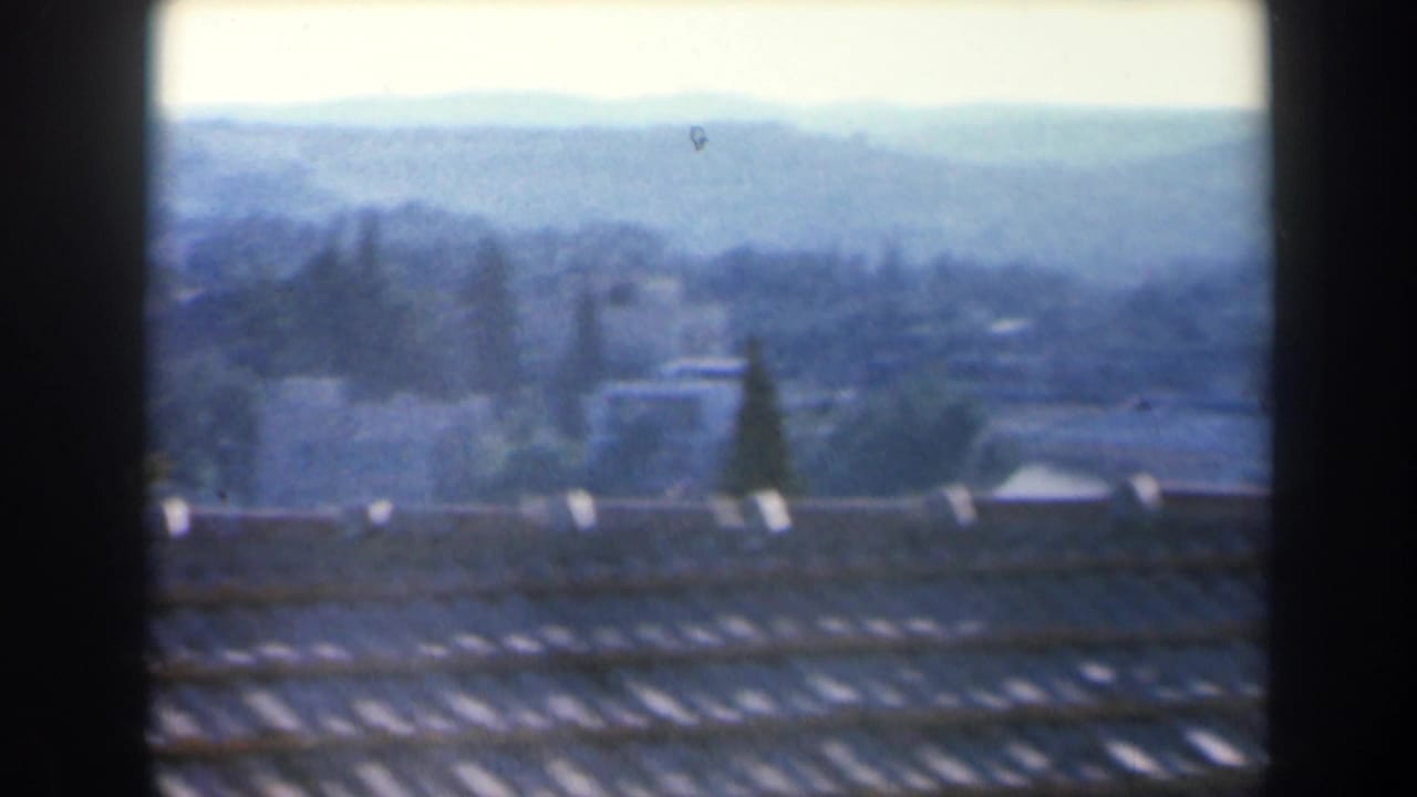 Distant tan tower and low buildings beyond a rooftop under a pale sky.