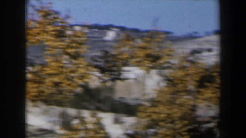 1960 Israel 8mm frame with motion-softened autumn trees in the foreground and a pale snowy or rocky hillside beyond.