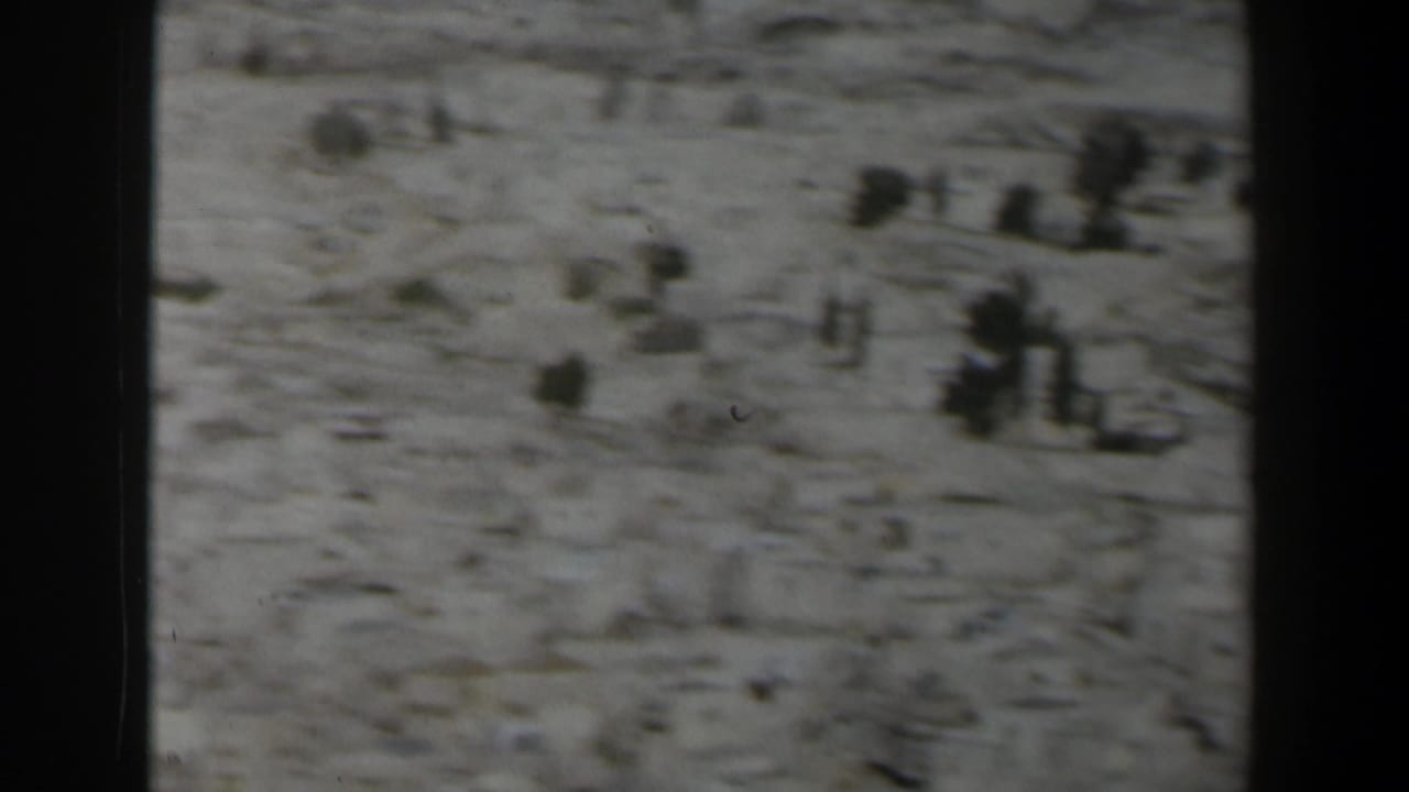 Soft distant view of stone ground with scattered trees and small dark shapes.