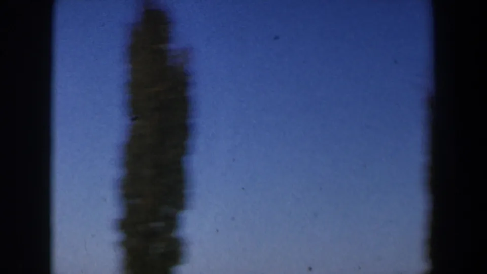 1960s Israel 8mm frame with a narrow tree silhouetted against blue sky and a small dark object in the air.