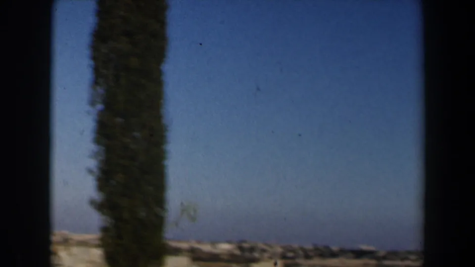 1960 Israel home-movie frame showing a tall tree at the edge of a distant townscape beneath clear sky.