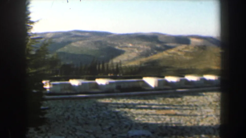 A sunlit hillside landscape with trees, fields, and a pale stone wall closes the brief Israel 8mm sequence.