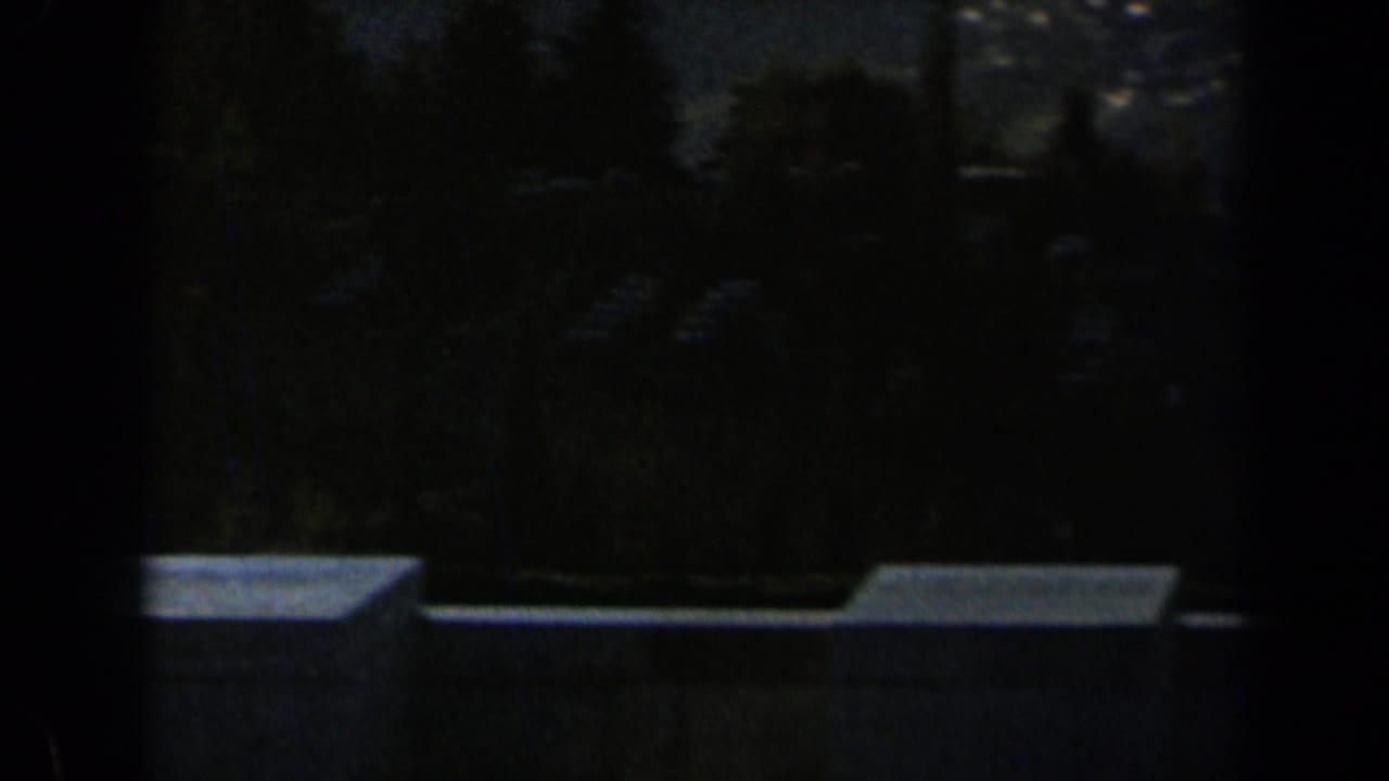 Underexposed 1960 Israel travel frame with dark trees and a pale roadside wall or handrail in view.