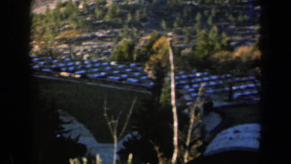 1960 Israel frame showing tiled roofs, a bare tree, hillside vegetation, and distant terracing.