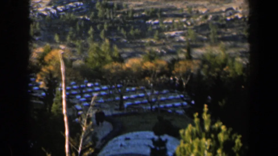 Final 1960 Israel frame with a dark central tree trunk, tiled roofs, shrubs, and terraced hillside beyond.