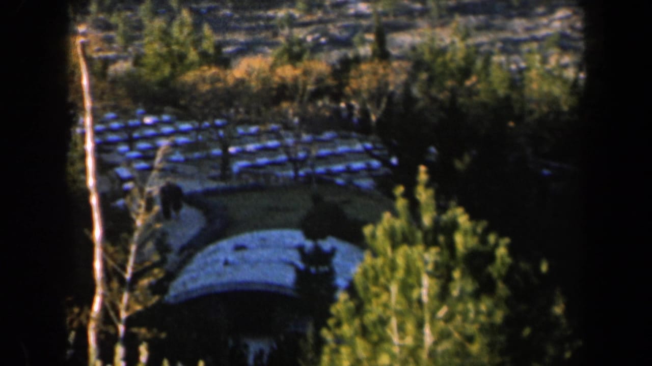 Park view with blue-tiled rows, trees, a path, and dark film borders.