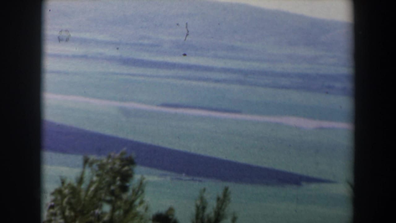 1960 Israel landscape frame showing layered grassy hills and a dark foreground tree line with visible 8mm color shift.