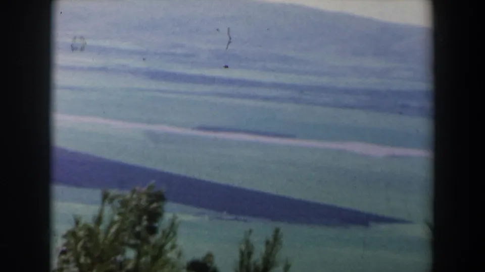 1960 Israel landscape frame showing layered grassy hills and a dark foreground tree line with visible 8mm color shift.