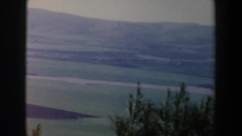 1960 Israel landscape frame showing rolling grass-covered hills, distant ridges, and dark foreground trees.