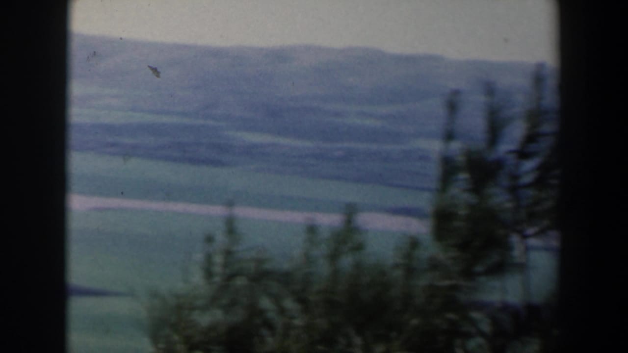 1960 Israel 8mm travel view of a lake-like expanse and distant hills framed by windblown trees.