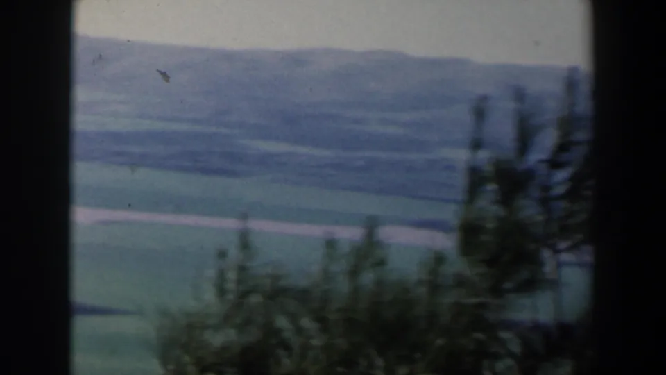 1960 Israel 8mm travel view of a lake-like expanse and distant hills framed by windblown trees.