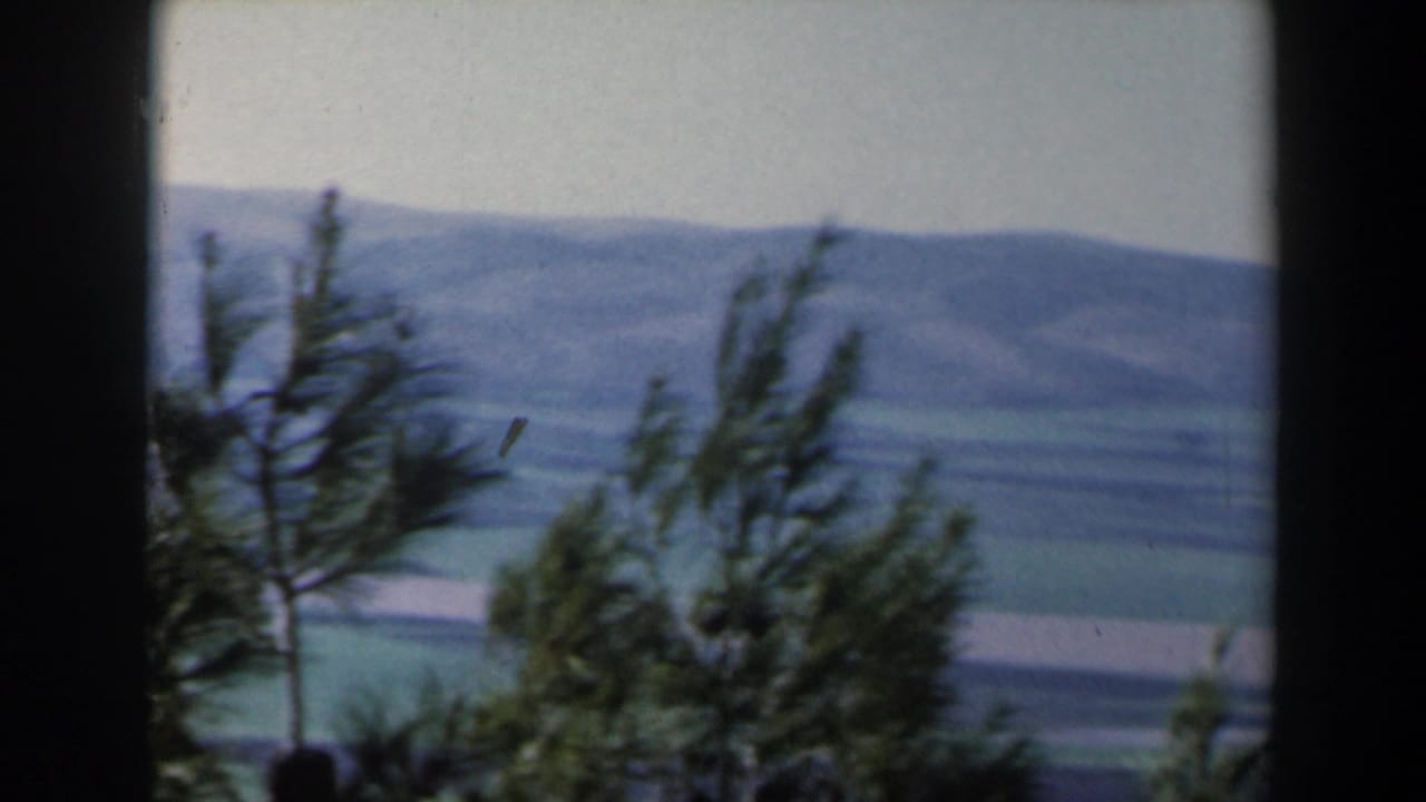 Windblown trees in front of distant hills, fields, and a broad water body.