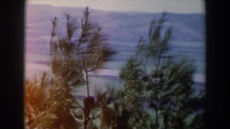 1960 Israel home-movie frame with soft color shift, foreground shrubs, and a distant lake-and-hill view.