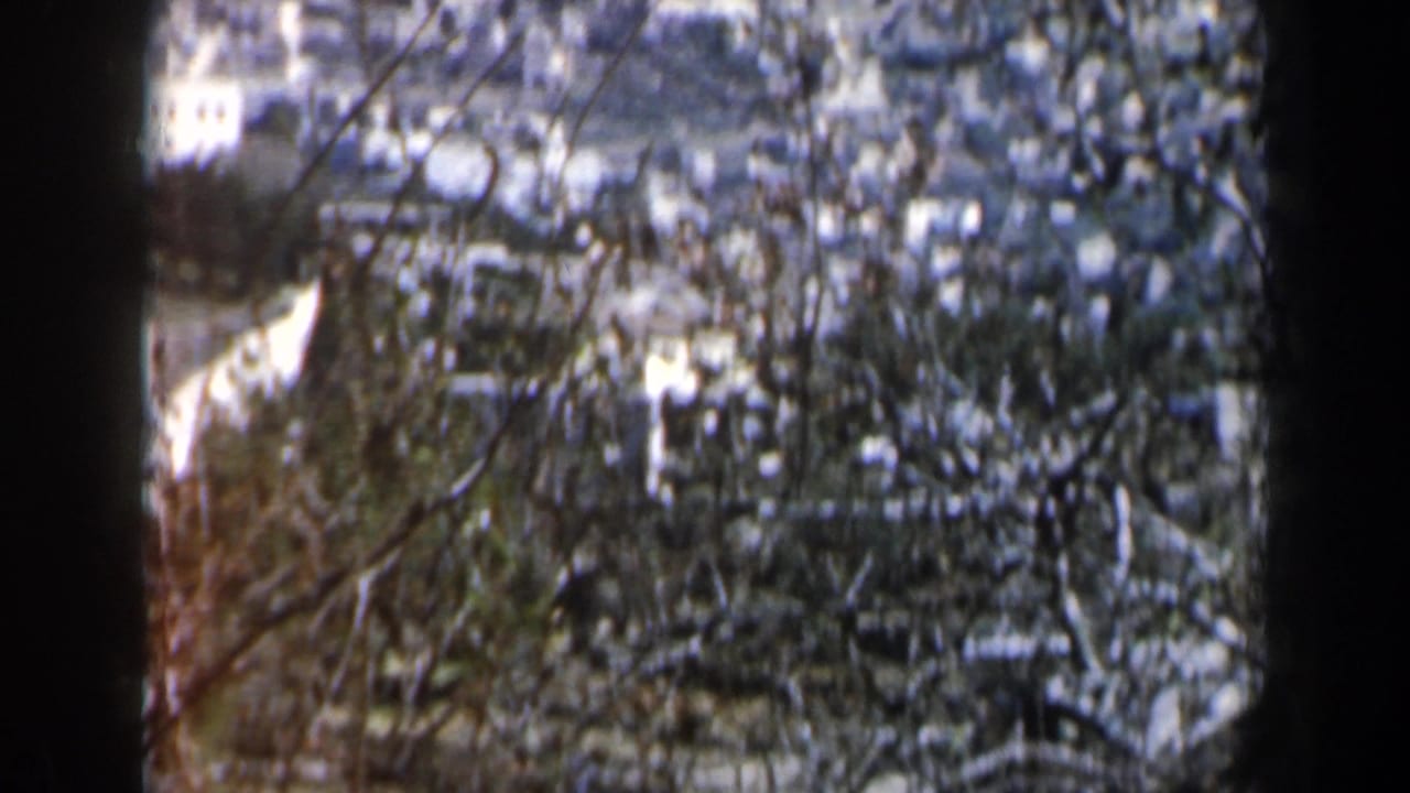 Distant white buildings seen through dark tree branches on a hillside.