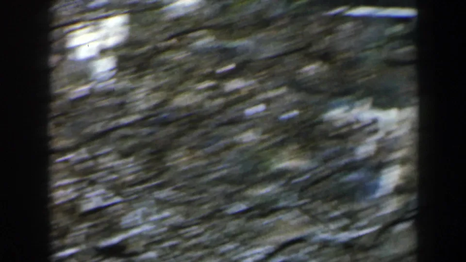 Fast-moving 1960 Israel home-movie frame with blurred branches, stones, and hillside ground.