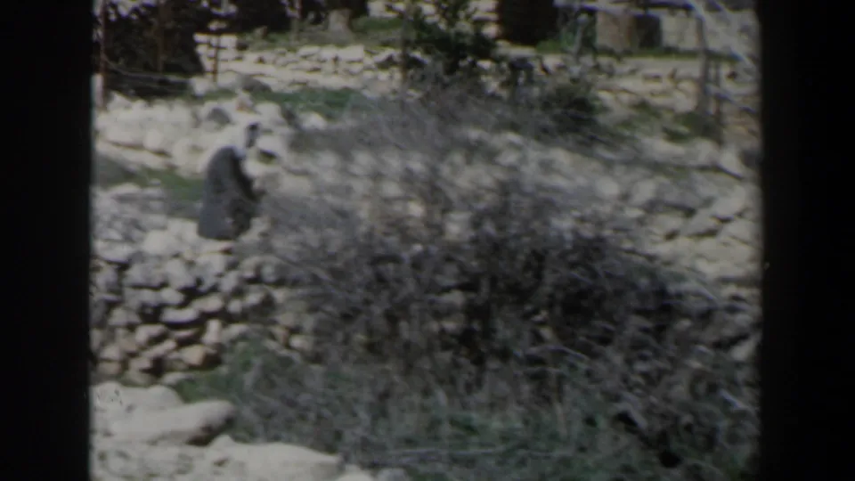 1960 Israel 8mm frame showing a dark-veiled woman walking quickly past dry brush and low stone walls in an arid setting.