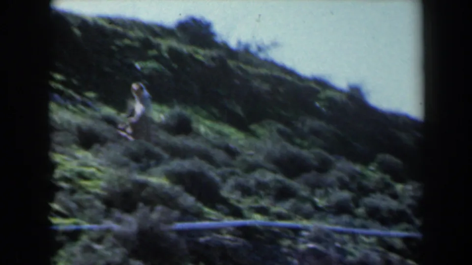 A distant person appears on a grassy Israeli hillside, framed by scrub vegetation and bright sky in soft 8mm color.