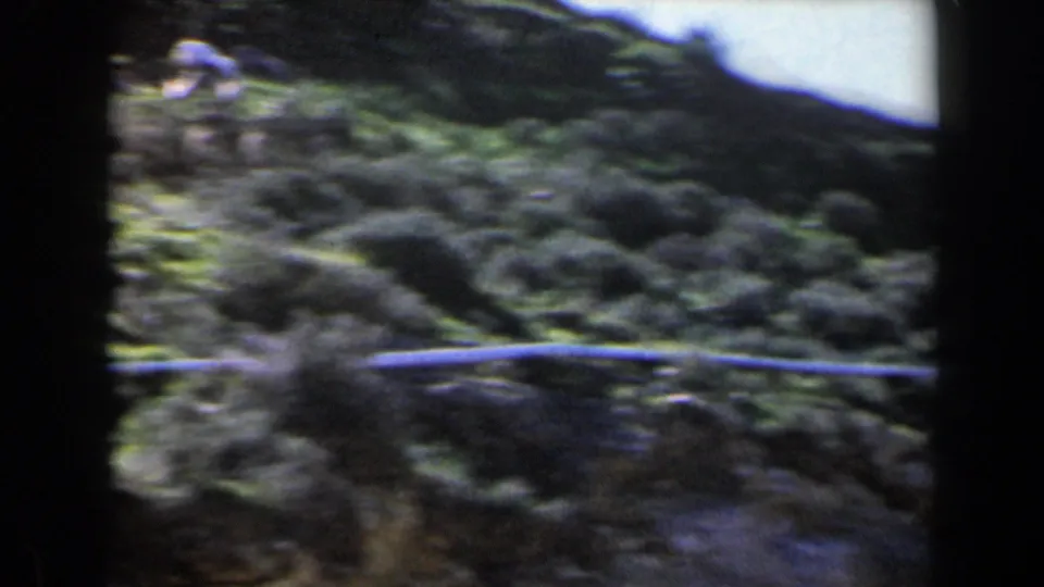 A small blurred figure appears near the upper left as the camera moves across the sunlit hillside in Israel.