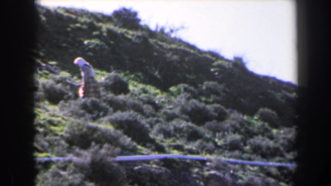 1960 Israel 8mm frame showing a woman in light clothing partly obscured by bushes on a sunlit hillside.