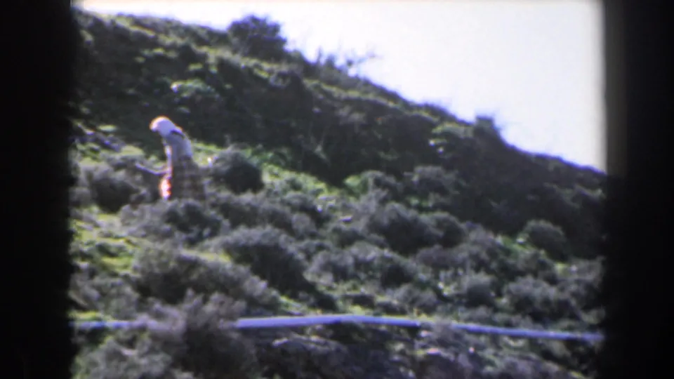 1960 Israel 8mm frame showing a woman in light clothing partly obscured by bushes on a sunlit hillside.