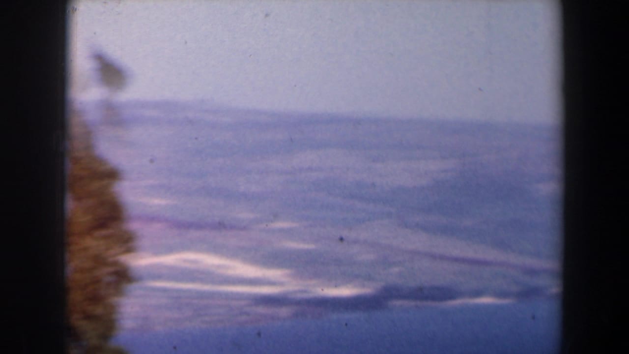 Distant hazy terrain with a vertical strip of vegetation at the left edge.