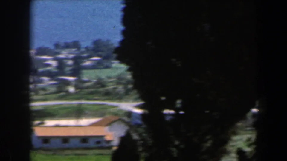 1960 Israel coastal view with a green hillside, curving road, tan-roofed building, dark tree, and sea in the distance.