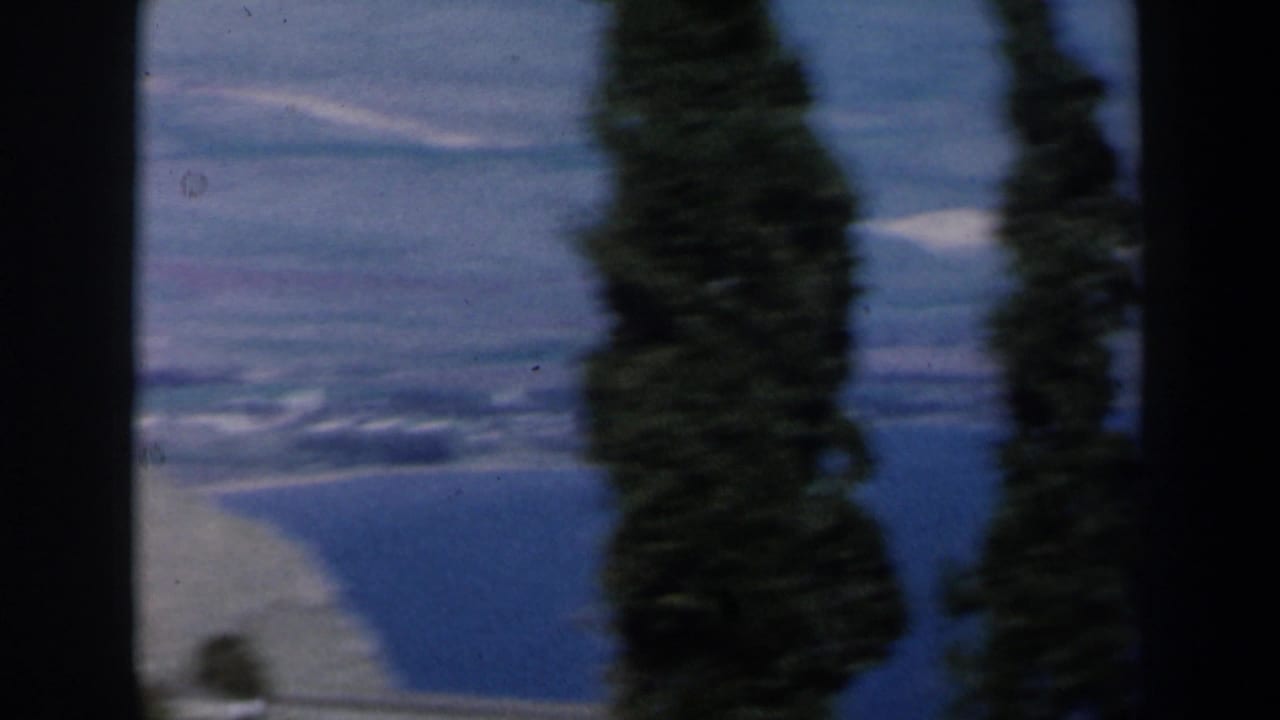 Blue shoreline seen through dark vertical frame edges and trees.
