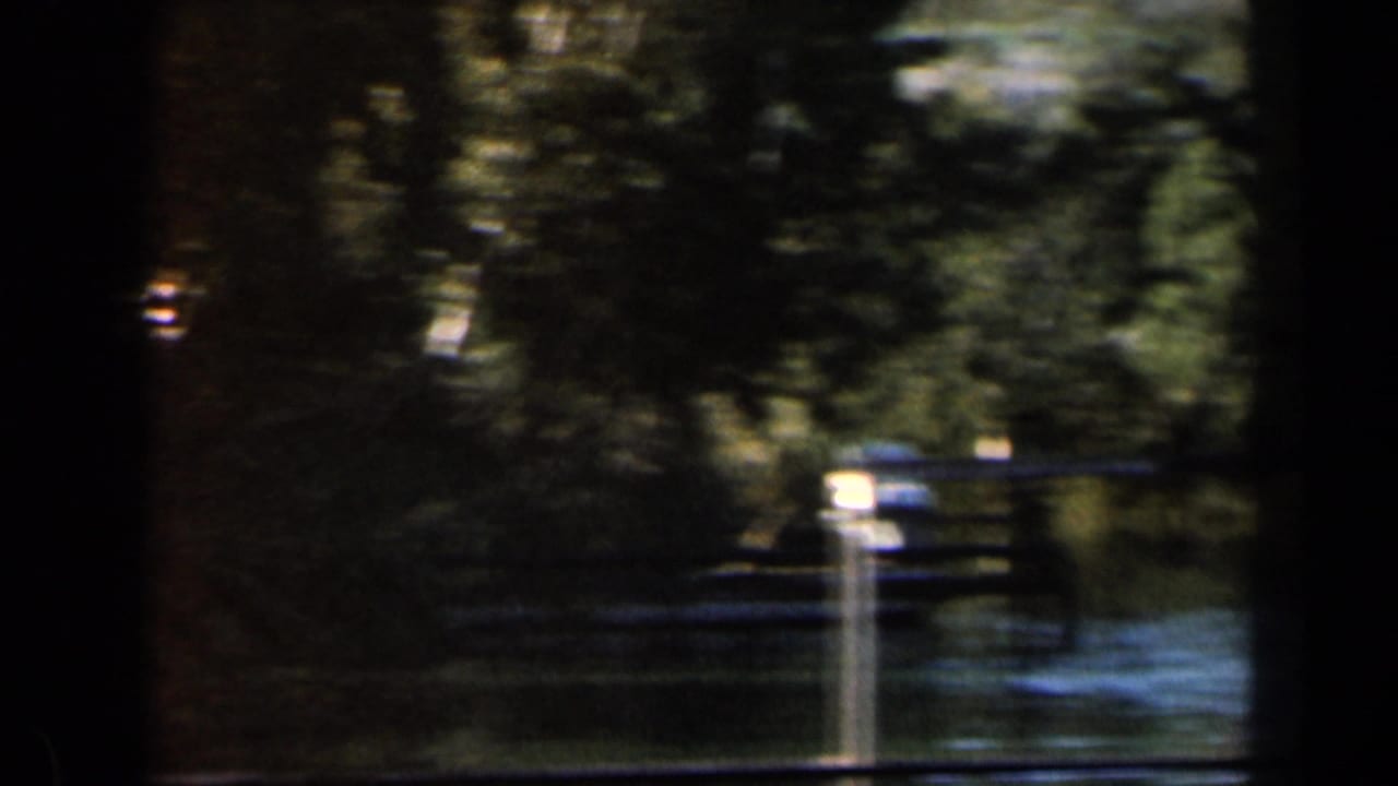 Shaded river view with trees, water, and dark foreground bands.