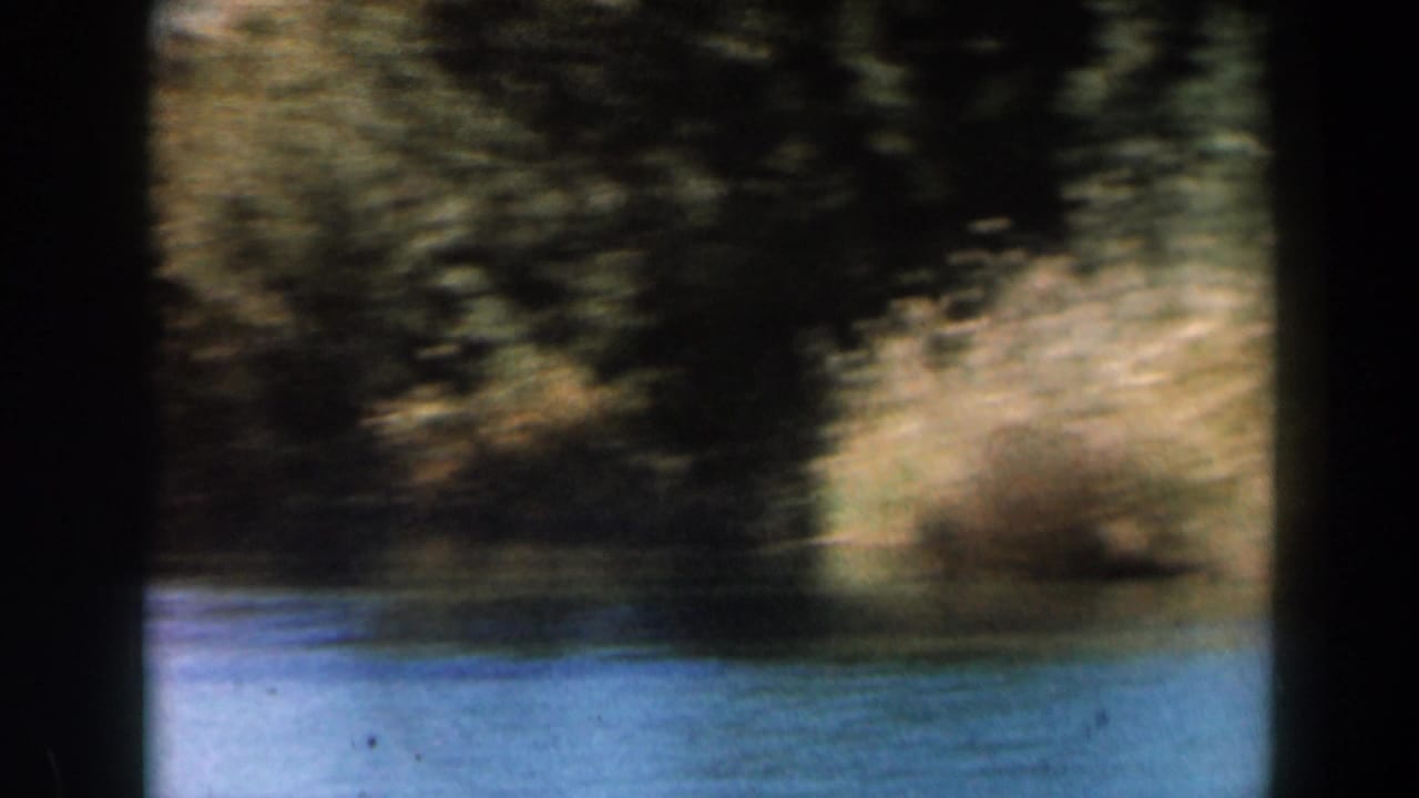 1960 8mm Israel countryside view of blue-green river water, sunlit reeds, and shadowed trees along the bank.