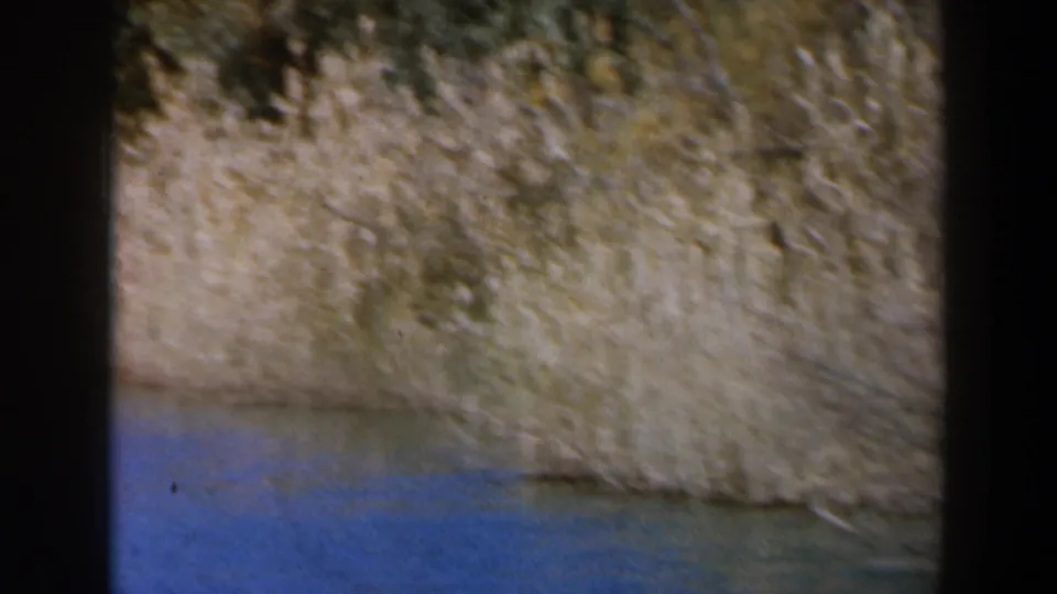 1960 8mm Israel river scene with water below a pale reed-covered or earthen bank, recorded in soft grainy color.