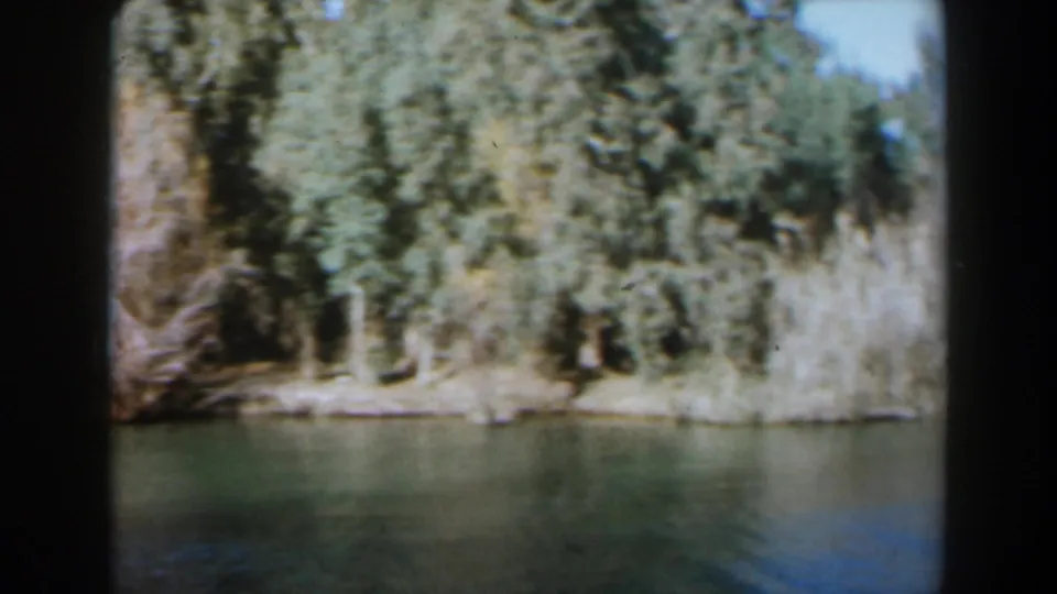 1960 Israel home-movie frame showing green lake water below a dense stand of trees on the opposite shore.