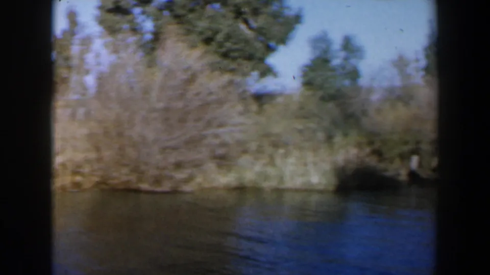 1960 Israel 8mm frame with water in the foreground, brush and trees on the shore, and pale blue sky above.