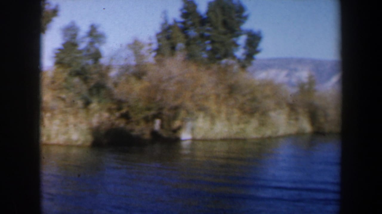 Blue water beside reeds and trees with distant hills across the shoreline.