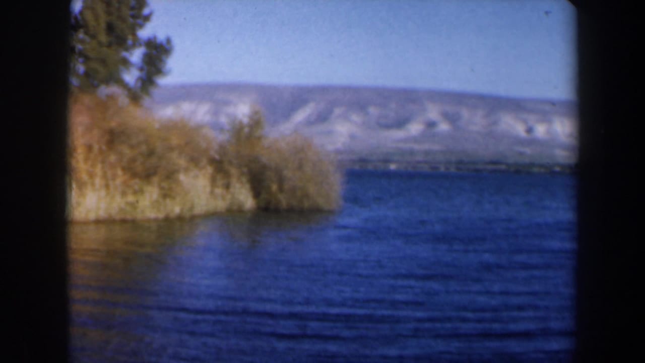 1960 Israel lakeside view with open water, golden reeds, trees, and pale hills beyond the far shore.