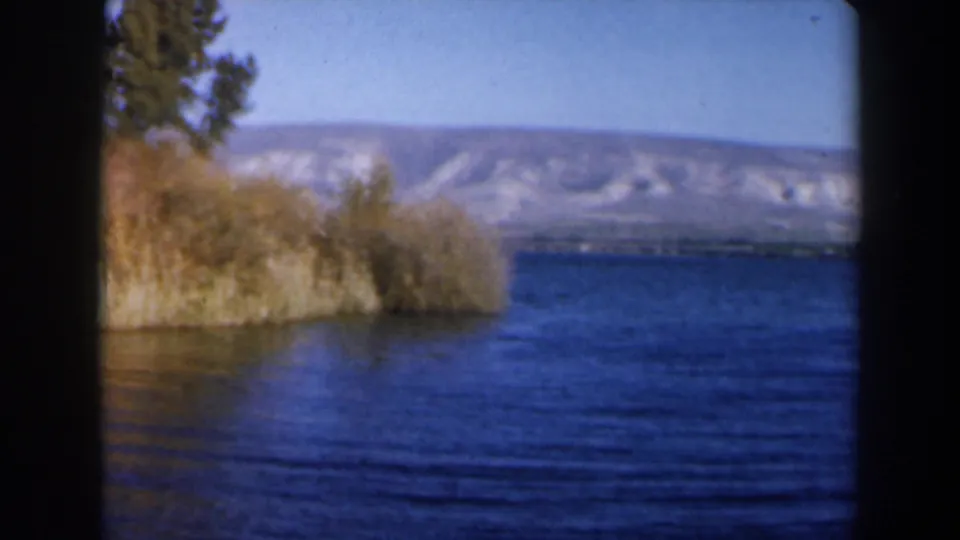 1960 Israel lakeside view with open water, golden reeds, trees, and pale hills beyond the far shore.