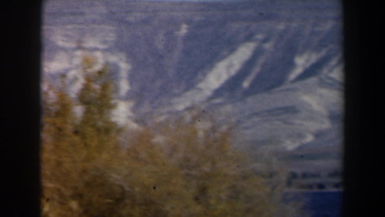 1960 8mm Israel home-movie frame showing pale hills beyond dry foreground trees, with dark scan borders visible.