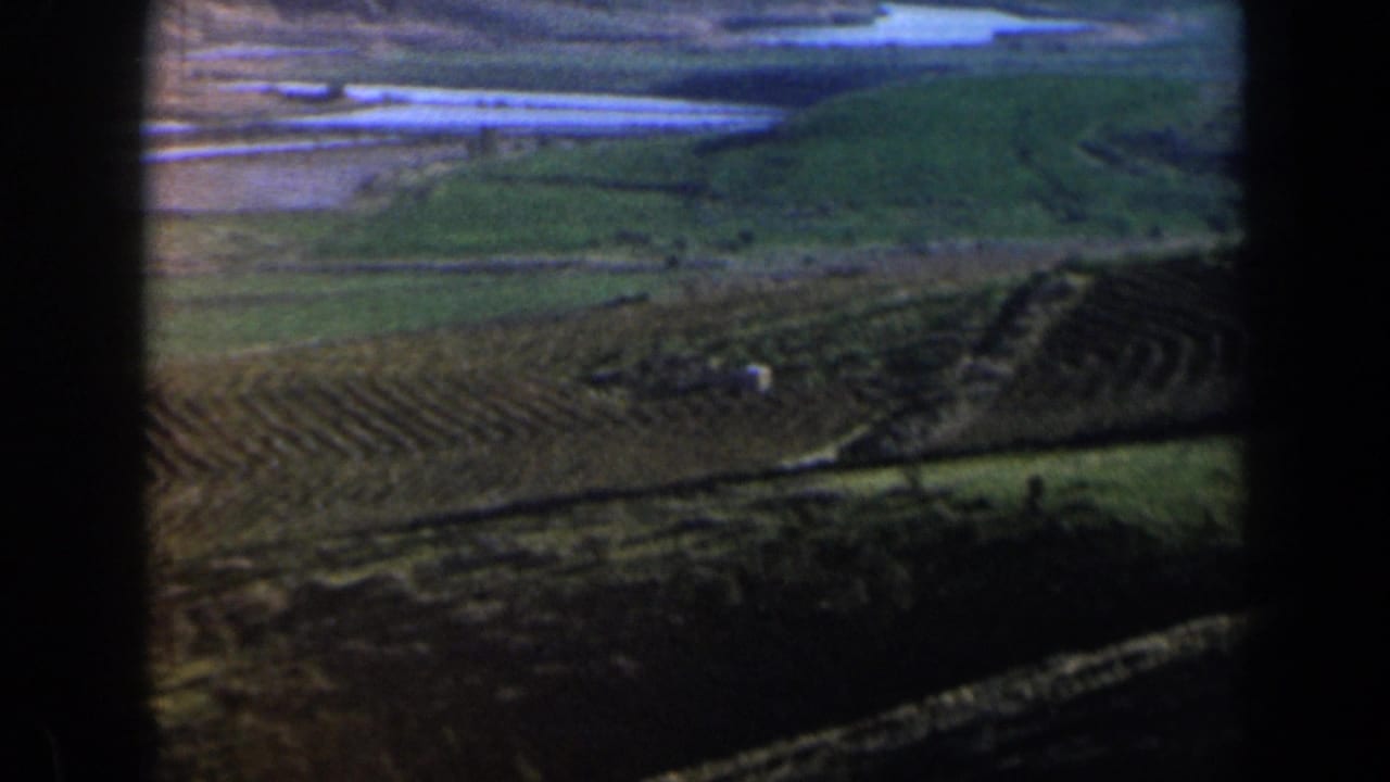 Aerial view of patterned farmland with green fields and dark contact-sheet borders.