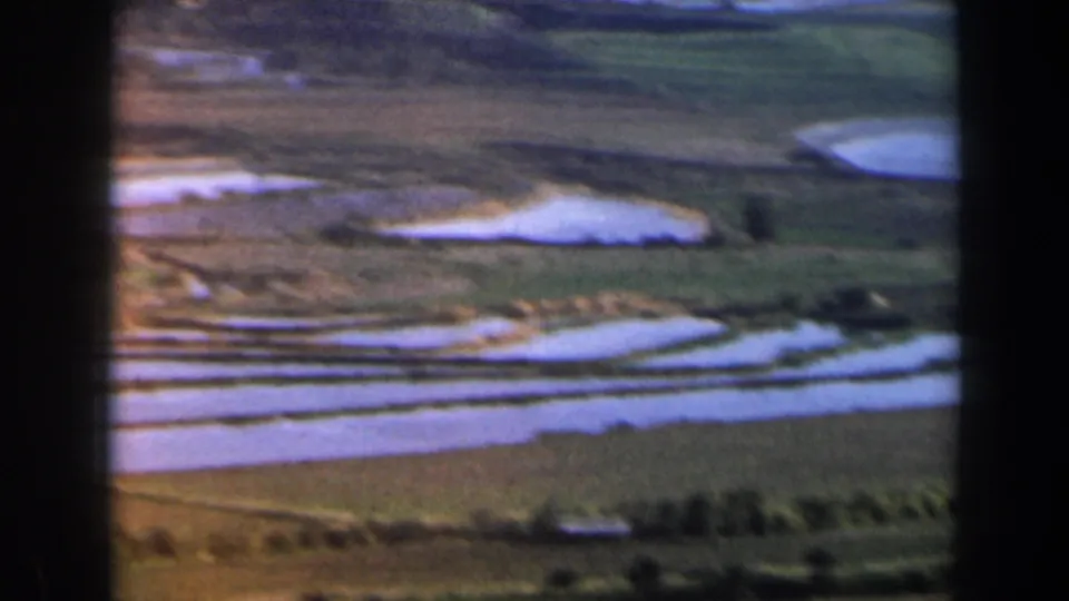 1960 Israel aerial 8mm frame of ponds and cultivated land, with trees along the lower foreground.
