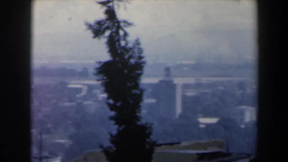 1960 Israel coastal city view with a dark tree silhouette, distant buildings, and waterfront haze.