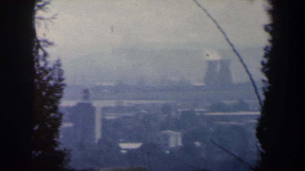 Hazy industrial city seen through dark tree silhouettes.