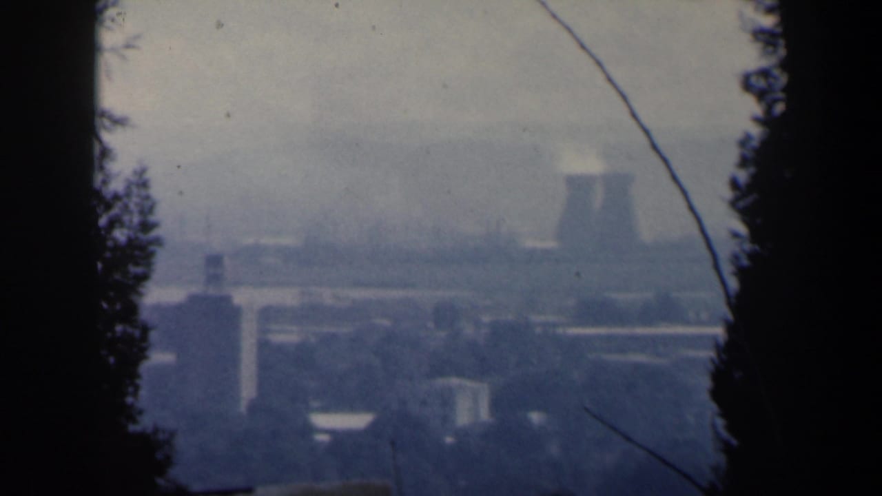 Distant industrial skyline framed by tree trunks and branches.