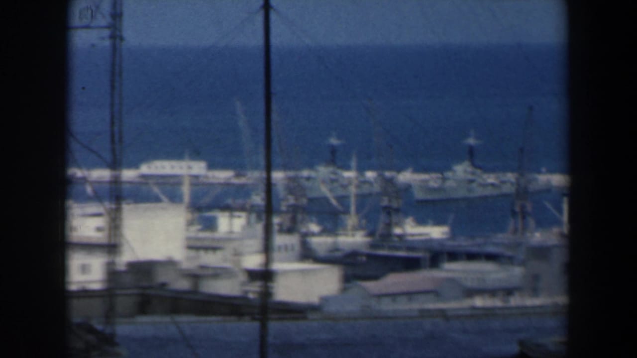 Harbor view with a large docked vessel, cranes, low buildings, and dark vertical foreground framing.