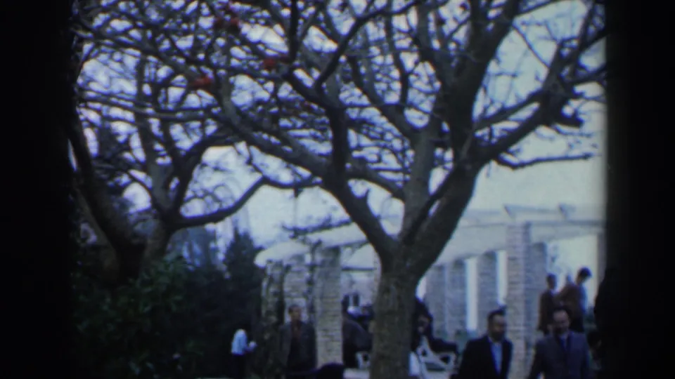 A 1960 Israel home-movie frame shows pedestrians near a large tree, with pale buildings and shrubs behind them.