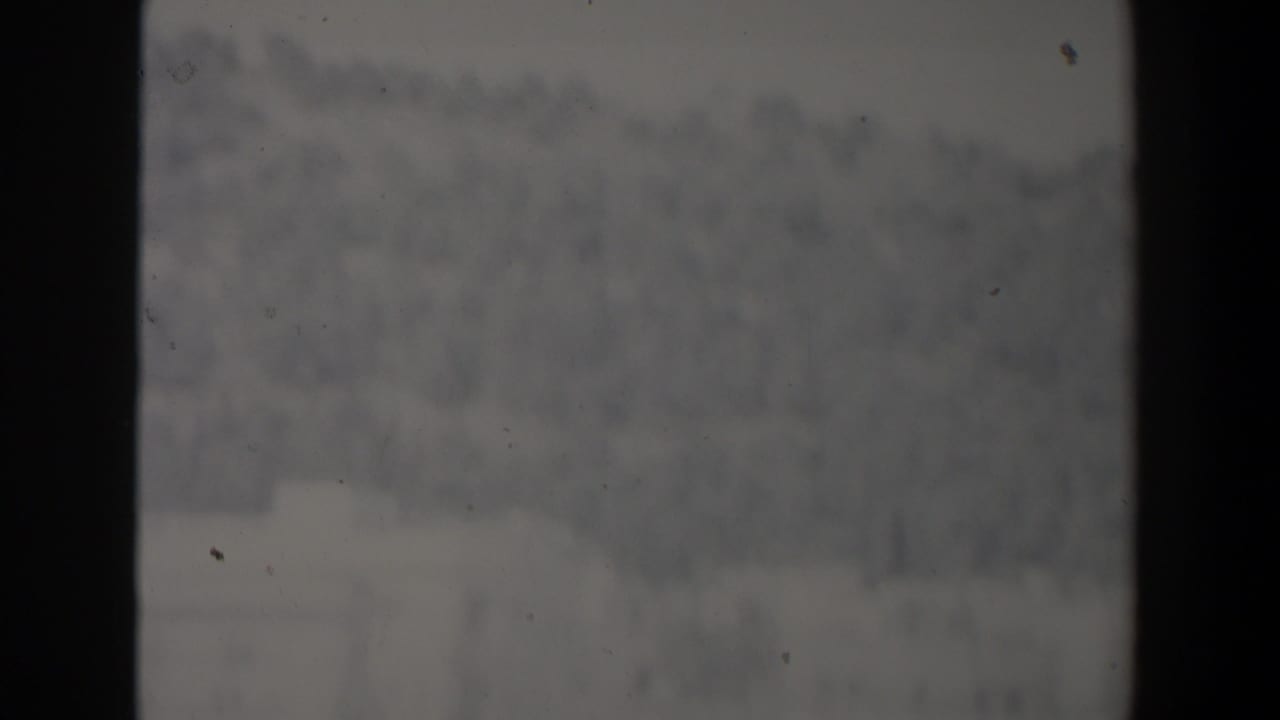Blurred outdoor cityscape with dark vertical film borders and indistinct buildings or trees.