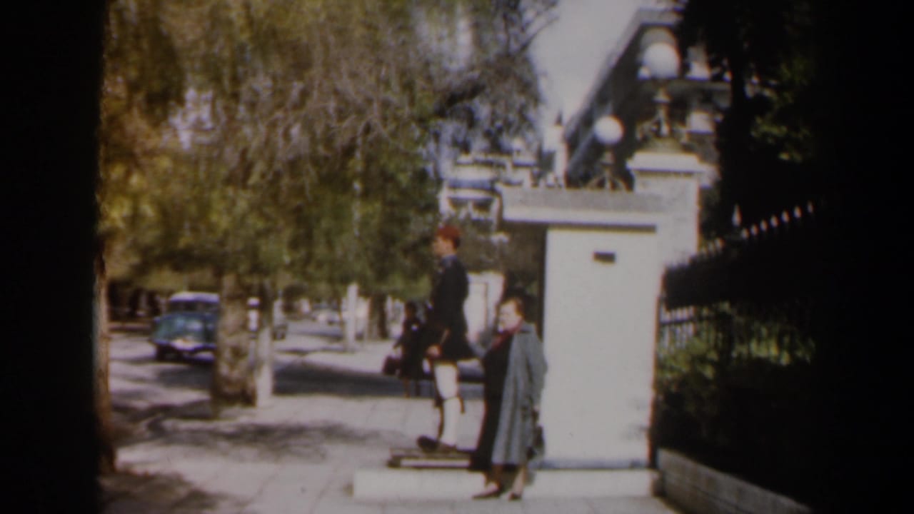 Guard stands at attention as a woman moves along the sidewalk near a sentry box.
