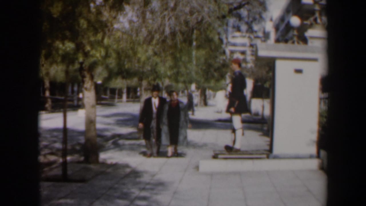 Couple walking arm-in-arm past trees with a guard standing near a post.
