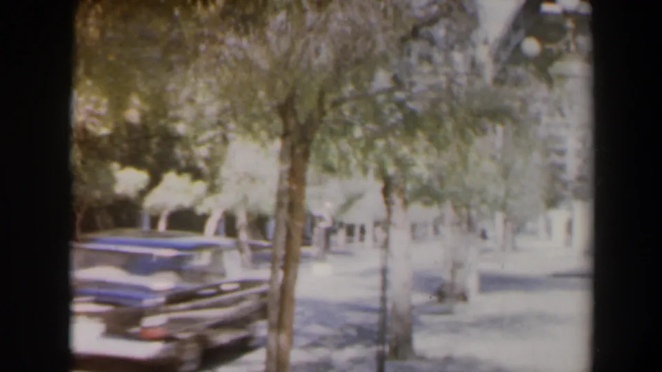 A bright 1960s Israel street view shows trees along the sidewalk and a mid-century car moving away in soft home-movie focus.