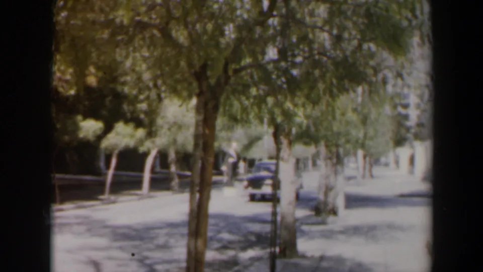 A black car drives away on a tree-lined urban street in Israel, framed by 8mm gate edges and faded color.